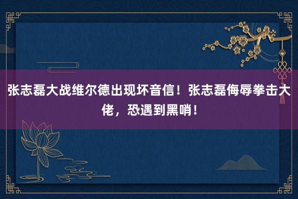 张志磊大战维尔德出现坏音信！张志磊侮辱拳击大佬，恐遇到黑哨！