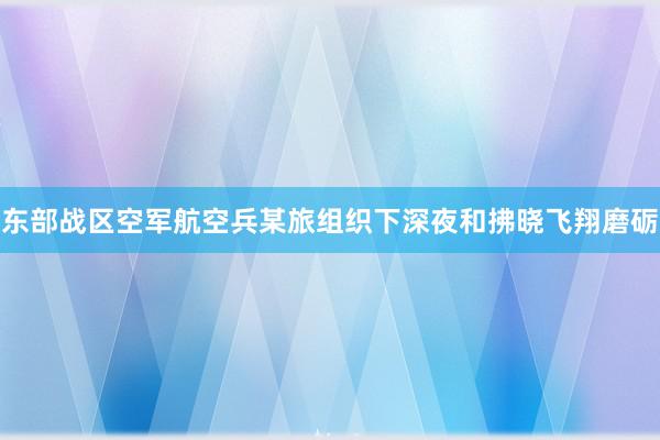 东部战区空军航空兵某旅组织下深夜和拂晓飞翔磨砺