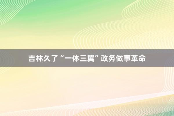 吉林久了“一体三翼”政务做事革命