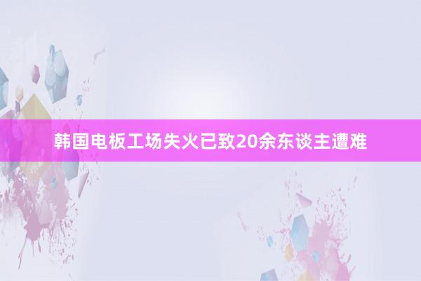 韩国电板工场失火已致20余东谈主遭难