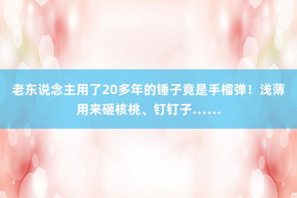 老东说念主用了20多年的锤子竟是手榴弹！浅薄用来砸核桃、钉钉子……