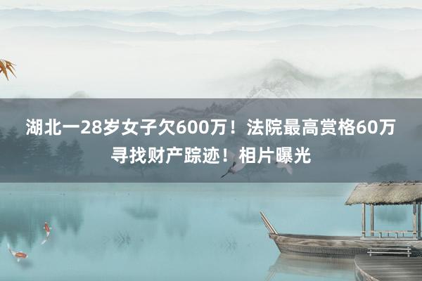 湖北一28岁女子欠600万！法院最高赏格60万寻找财产踪迹！相片曝光