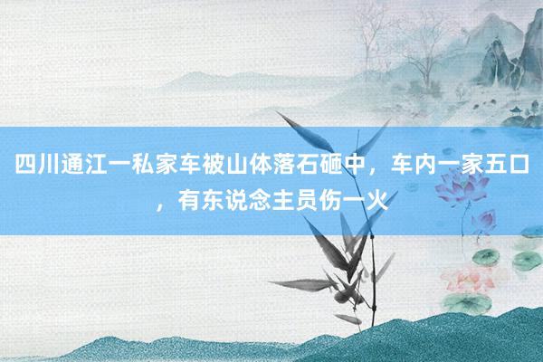 四川通江一私家车被山体落石砸中，车内一家五口，有东说念主员伤一火