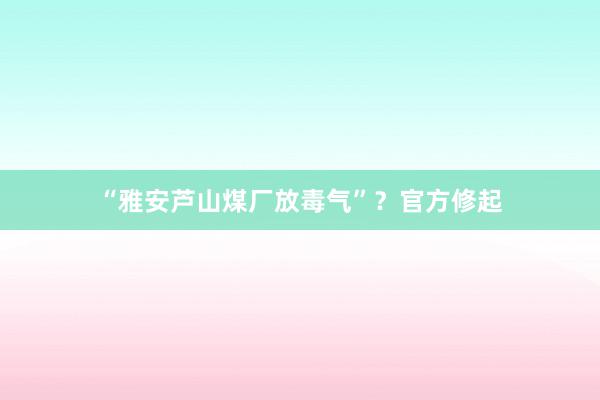 “雅安芦山煤厂放毒气”？官方修起