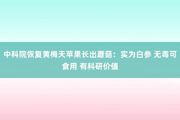 中科院恢复黄梅天苹果长出蘑菇：实为白参 无毒可食用 有科研价值