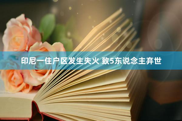 印尼一住户区发生失火 致5东说念主弃世