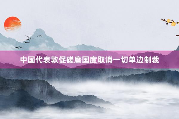 中国代表敦促磋磨国度取消一切单边制裁