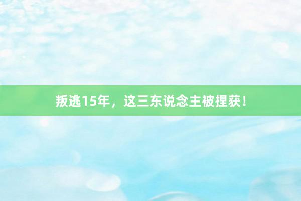 叛逃15年，这三东说念主被捏获！