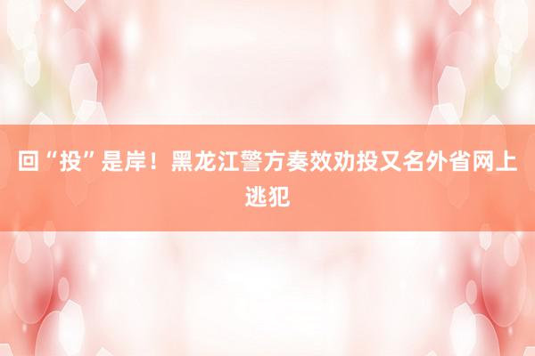 回“投”是岸！黑龙江警方奏效劝投又名外省网上逃犯