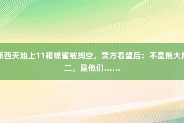 浙西天池上11箱蜂蜜被掏空，警方看望后：不是熊大熊二，是他们......