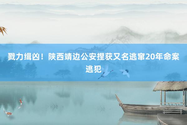 戮力缉凶！陕西靖边公安捏获又名逃窜20年命案逃犯