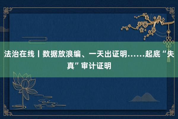 法治在线丨数据放浪编、一天出证明……起底“失真”审计证明