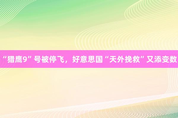 “猎鹰9”号被停飞，好意思国“天外挽救”又添变数