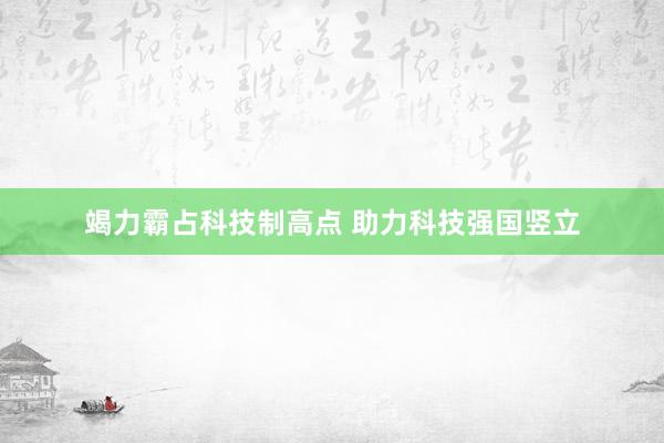 竭力霸占科技制高点 助力科技强国竖立