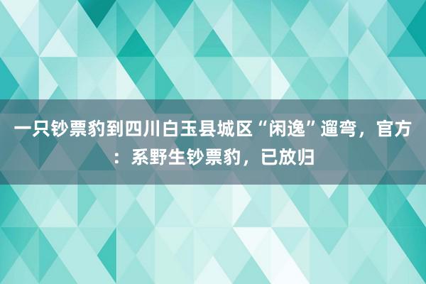 一只钞票豹到四川白玉县城区“闲逸”遛弯，官方：系野生钞票豹，已放归