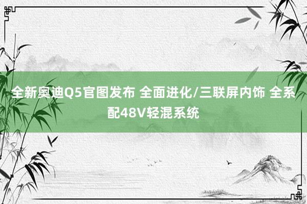 全新奥迪Q5官图发布 全面进化/三联屏内饰 全系配48V轻混系统