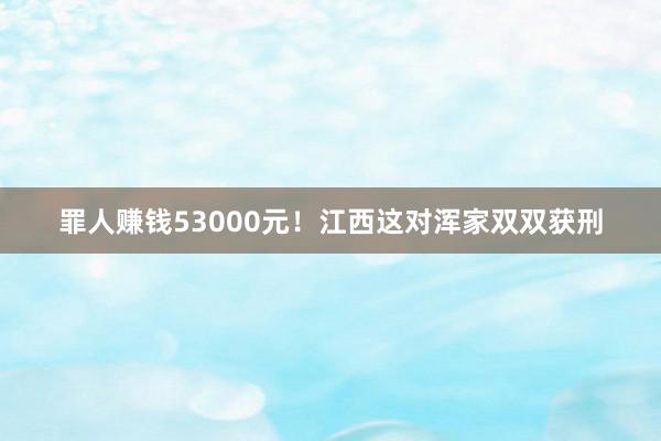 罪人赚钱53000元！江西这对浑家双双获刑