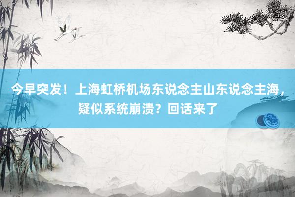 今早突发！上海虹桥机场东说念主山东说念主海，疑似系统崩溃？回话来了