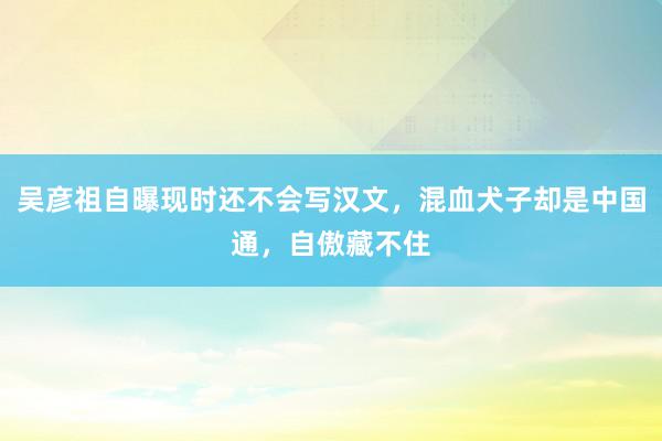 吴彦祖自曝现时还不会写汉文，混血犬子却是中国通，自傲藏不住