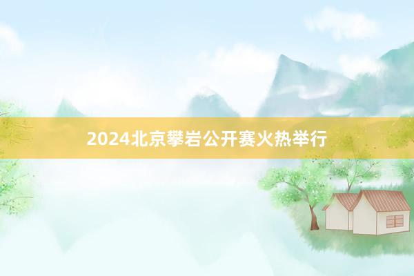 2024北京攀岩公开赛火热举行