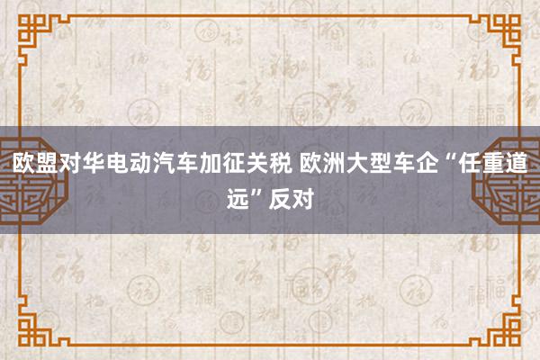 欧盟对华电动汽车加征关税 欧洲大型车企“任重道远”反对