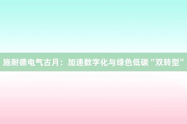 施耐德电气古月：加速数字化与绿色低碳“双转型”