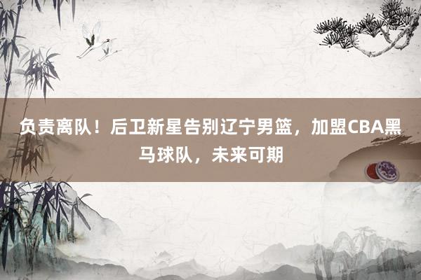 负责离队！后卫新星告别辽宁男篮，加盟CBA黑马球队，未来可期